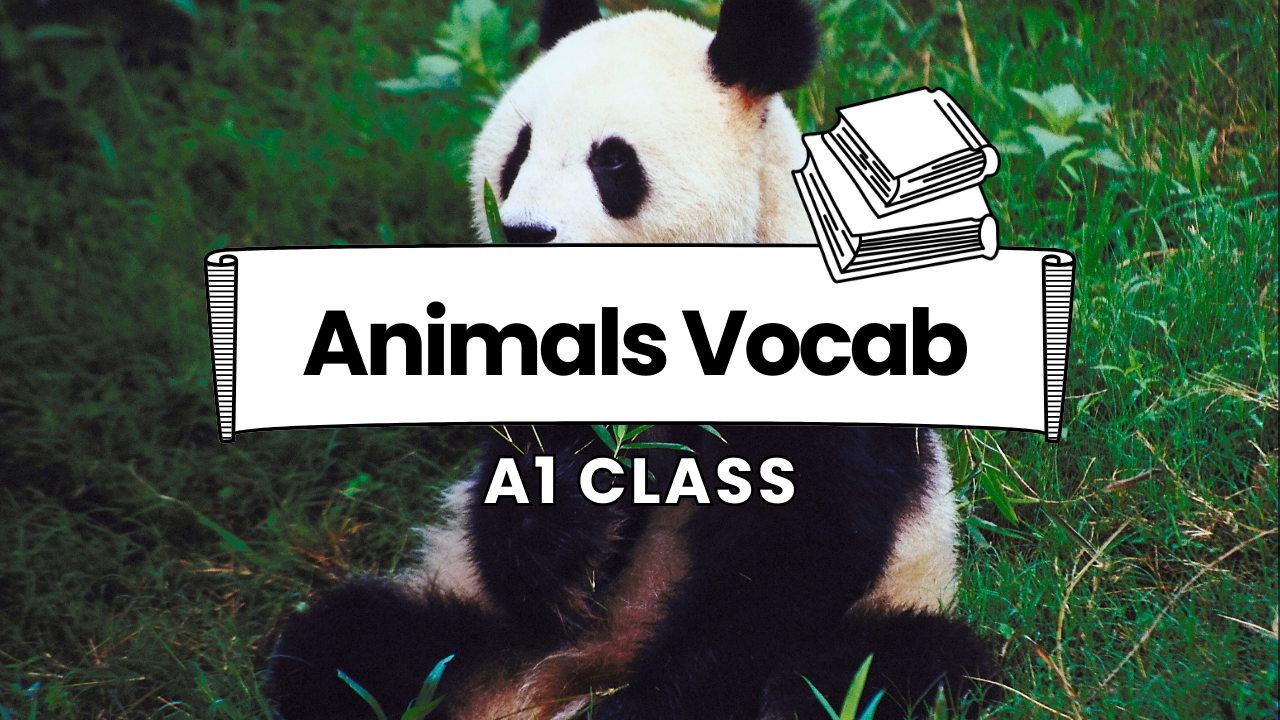 Sabe dizer esses animais <br>em inglês?